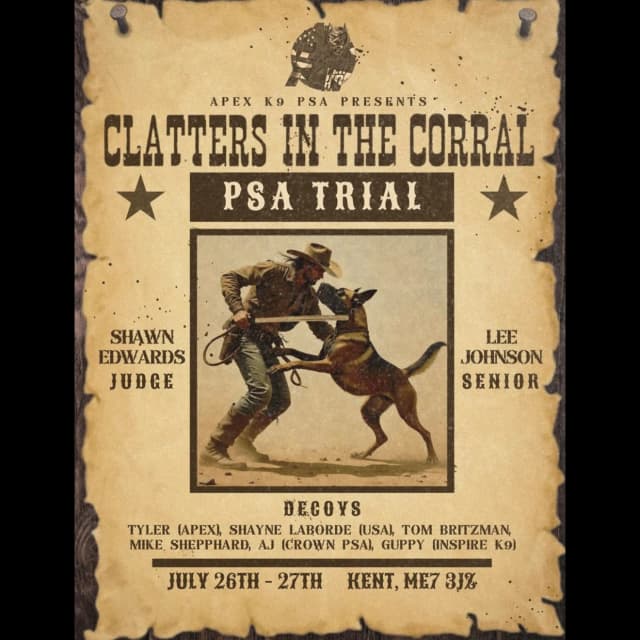 clatters-in-the-corral