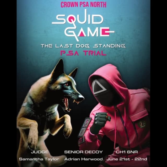 the-last-dog-standing