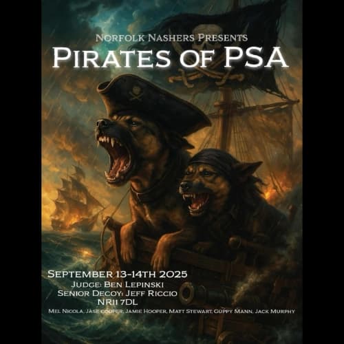 pirates-of-psa