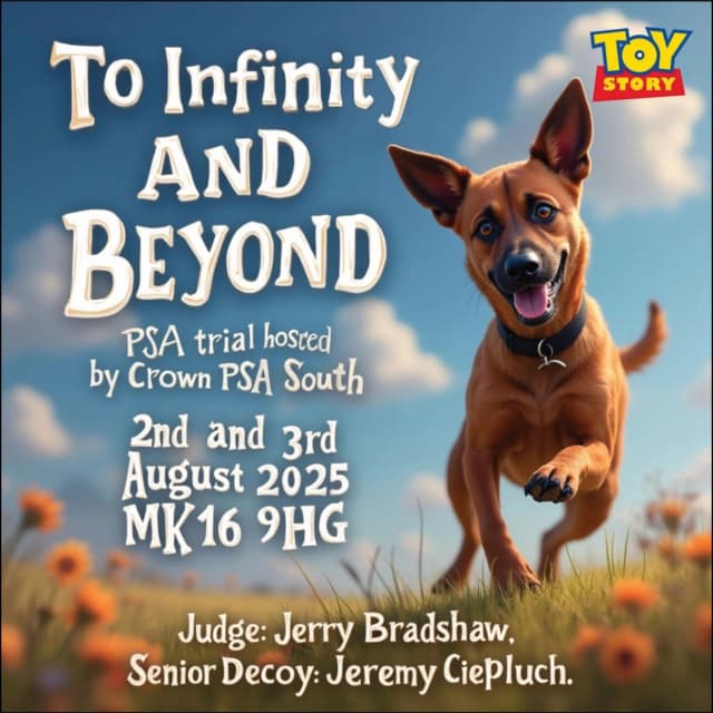 to-infinity-and-beyond